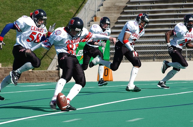 标准和球迷 标准和球迷